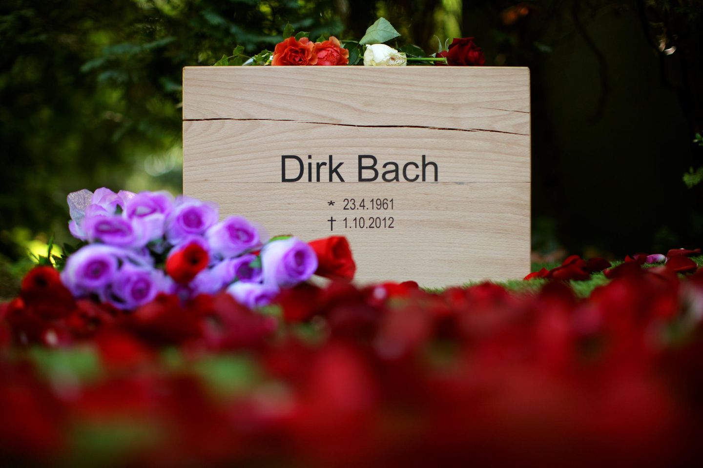 Abschied in aller Stille: Dirk Bach wurde am 07. Oktober beerdigt.