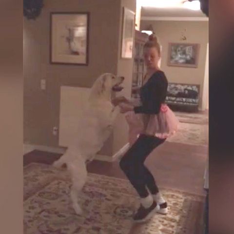 Larissa Marolt macht sich fit für Let's Dance: Tanztraining mit ihrem Hund