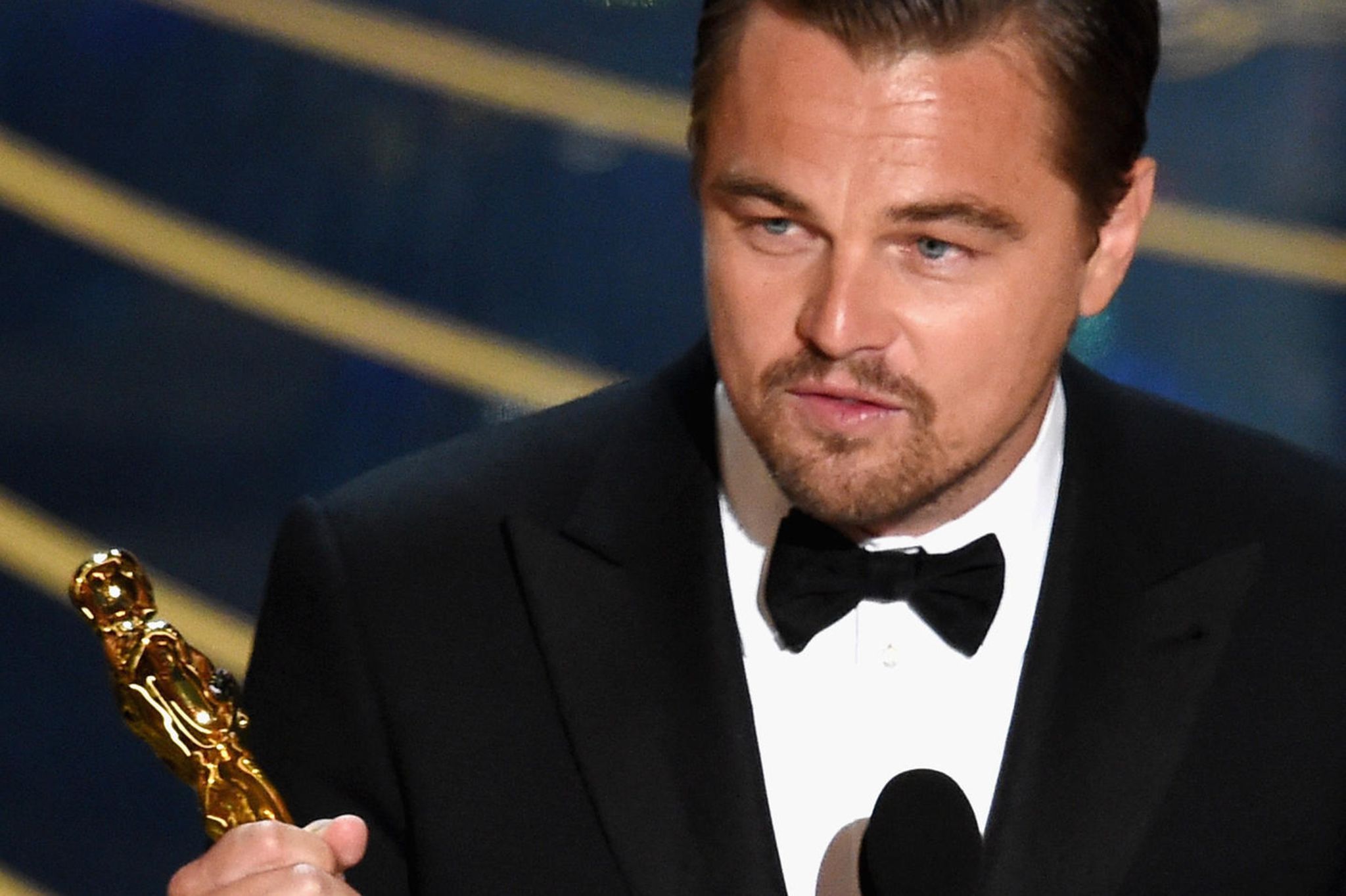 Oscars 2016 Leonardo DiCaprio gewinnt den Academy Award als bester Hauptdarsteller für seine
