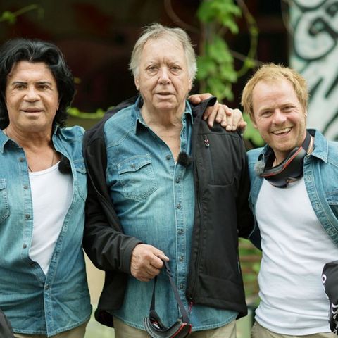 Sommer-Dschungelcamp: Costa Cordalis steht im Finale