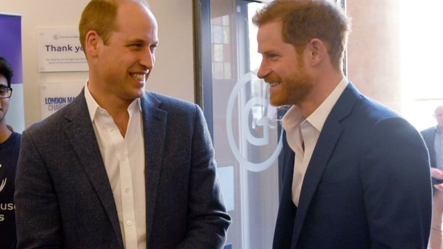 William und Harry Endlich vertragen?