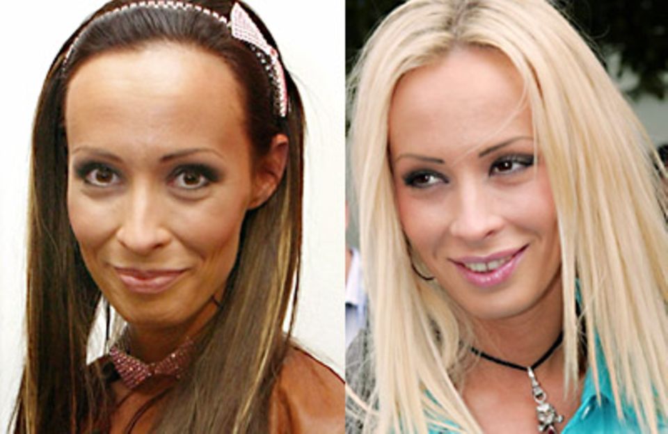 Blond oder Braun?