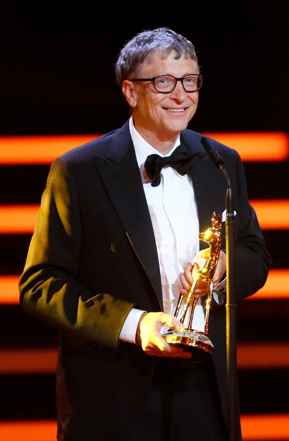 Bambi 2013 Gewinner
