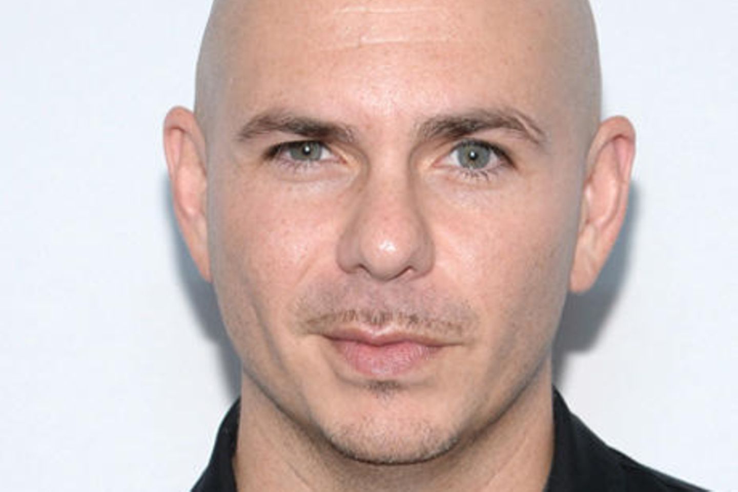 Pitbull Musician Eyes