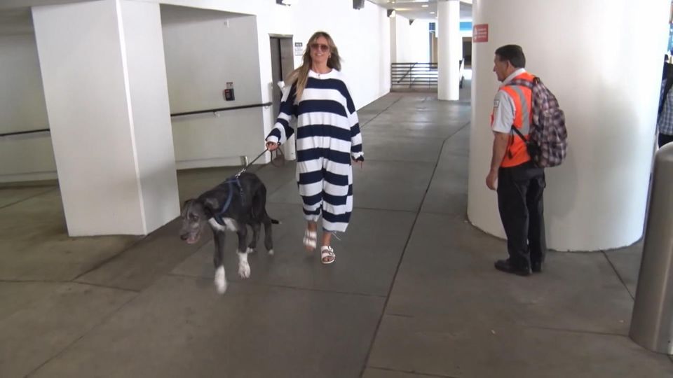 Heidi Klum landet mit Riesen-Hund in LA