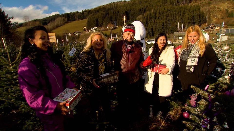 Richard Lugner und sein "Zoo" im Weihnachtsmodus