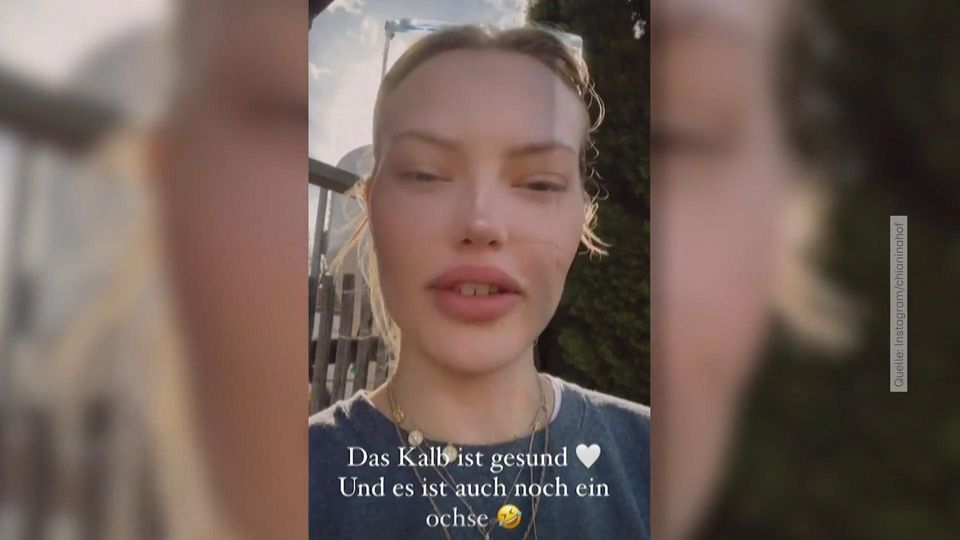 "Wahnsinns-Erfahrung" bei Kalb-Geburt