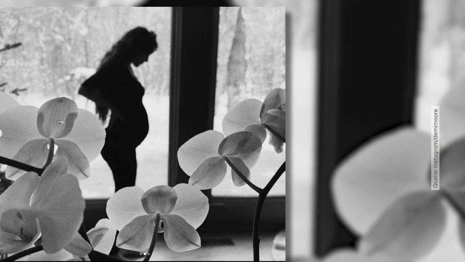 Baby-News