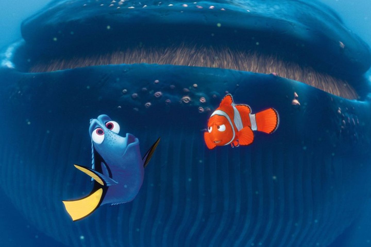 Was "Findet Nemo" nach 20 Jahren immer noch so faszinierend macht