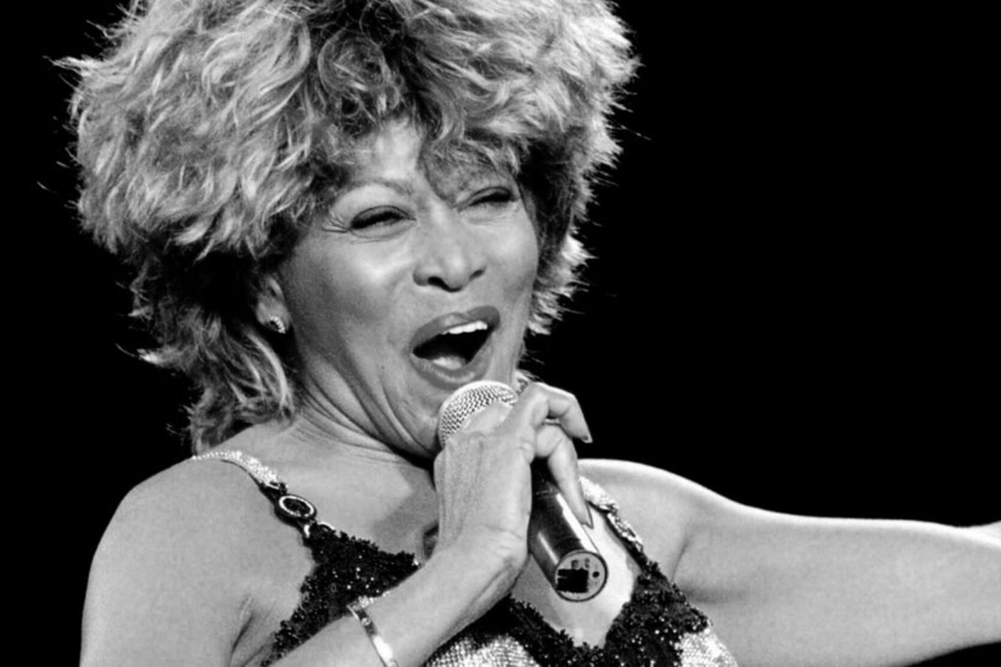 Besondere Ehre: Tina Turner soll Statue in ihrer Geburtsstadt erhalten