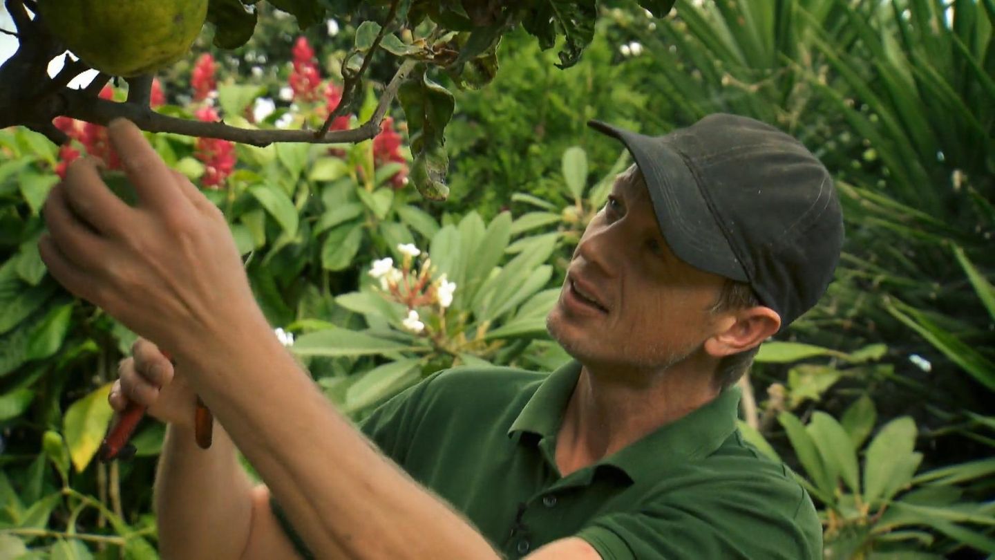 La Palma VollblutGärtner Heiko im grünen Paradies! Video VIP.de