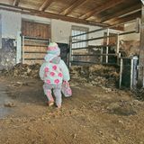 Ochsenknecht-Familienstrecke: Mavie Ochsenknecht im Stall