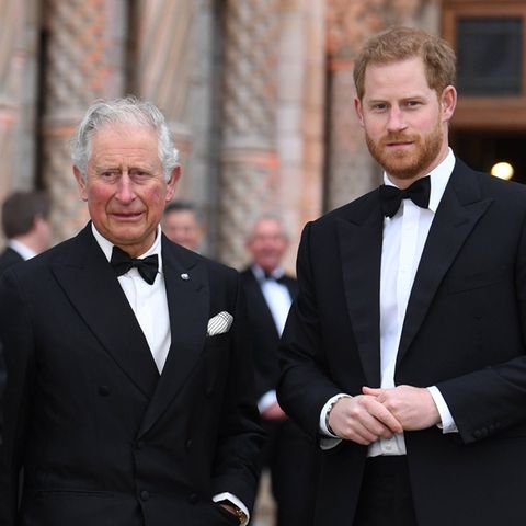 Prinz Harry (r.) soll Vater Charles mit einem Überraschungsanruf zum Geburtstag gratuliert haben.