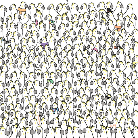 die vier Tauben im Suchbild?