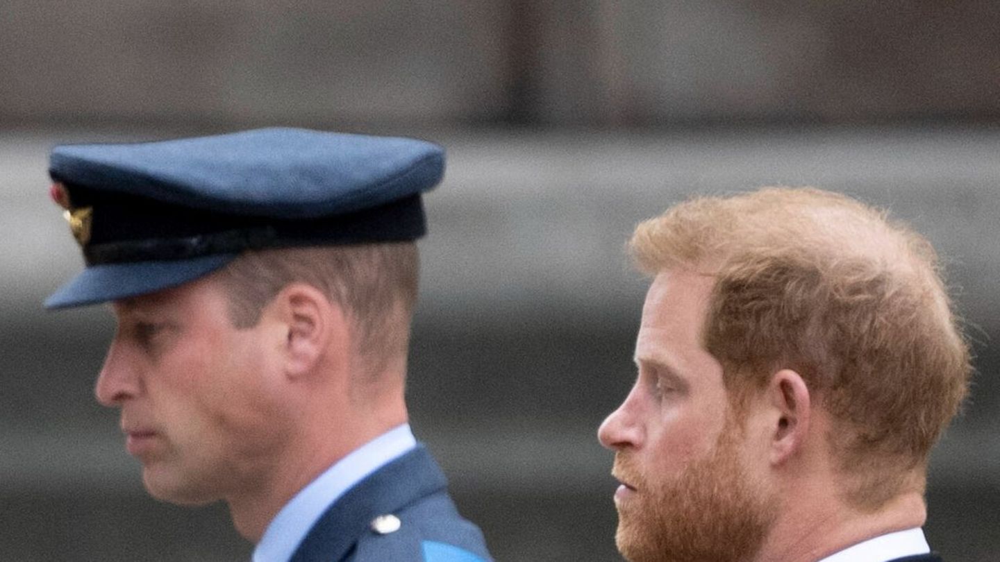 Prinz William Er würde wohl keine Hilfe von Harry wollen