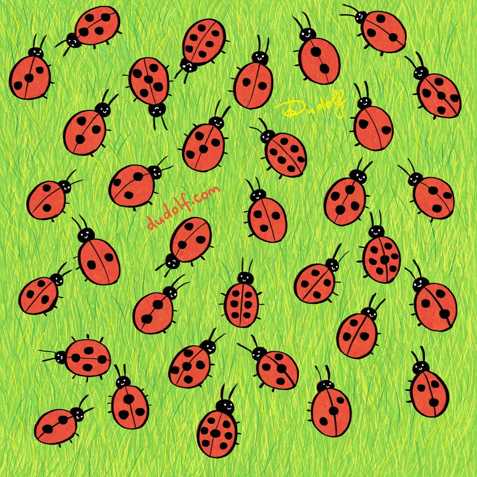 Suchbild: Kannst du den Marienkäfer mit dem einmaligen Muster finden?