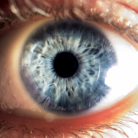 Das menschliche Auge ist Resultat von Millionen von Jahren der Evolution.