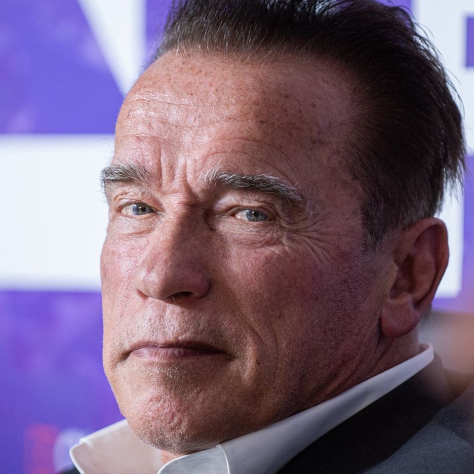Alle Infos & News zu Arnold Schwarzenegger | VIP.de
